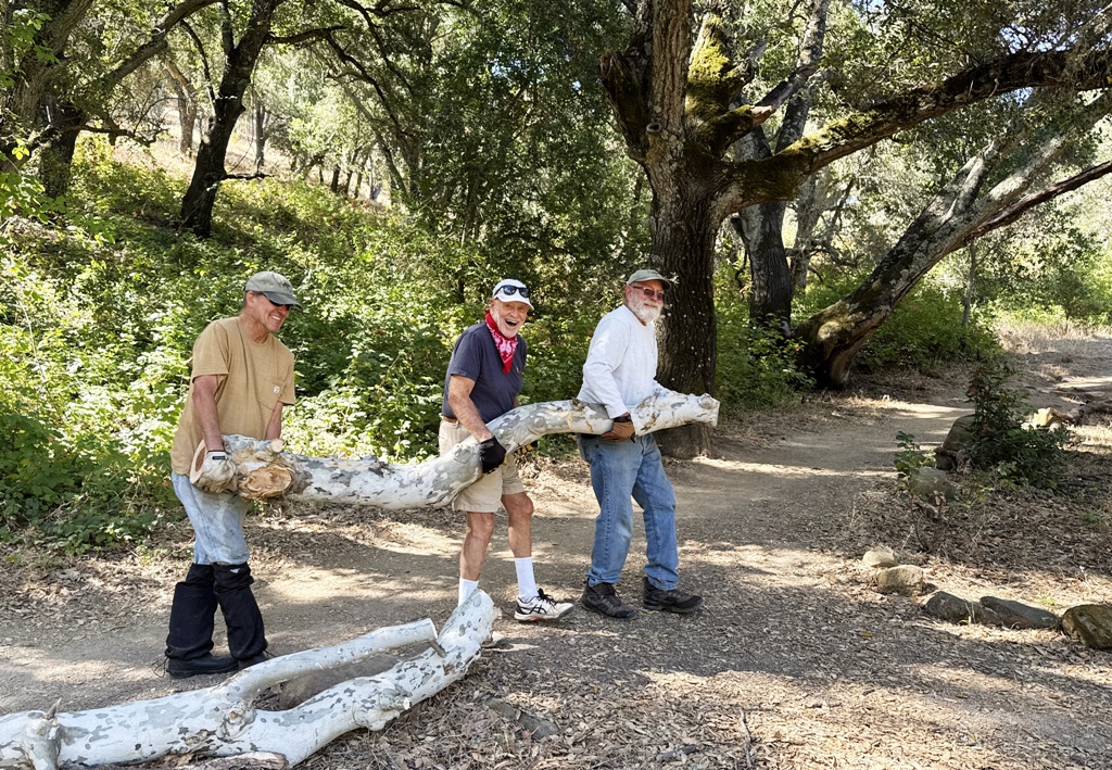 Tim, Dave and Cory moving a big sycamore log